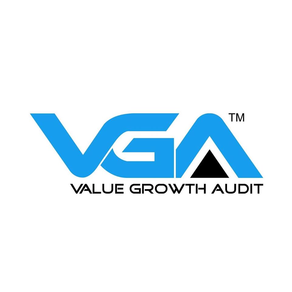VGA徽标最终版 价值增长审计